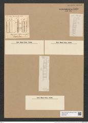 Plagiogramma californicum Grev. (de-Toni-Nr.: Genus 83, Species 2935) Zeichnungen Sammlung Grunow Nr. 5930 (NHMW-BOT-W0374397)